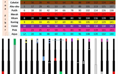 Mengenal Kode Warna Fiber Optik